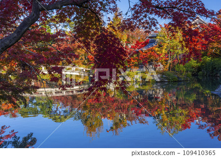 Kyoto in autumn, Eikando (Zenrinji Temple), Bentensha Shrine and autumn leaves at Hojo Pond Kyoto in autumn, Eikando (Zenrinji Temple), Bentensha Shrine and autumn leaves at Hojo Pond 109410365