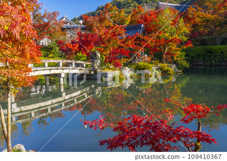 秋天的京都、永觀堂（善林寺）、弁天社和北條池的秋葉 109410367