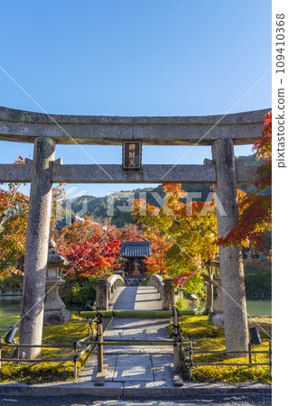 秋天的京都、永觀堂（善林寺）、弁天社和北條池的秋葉 109410368