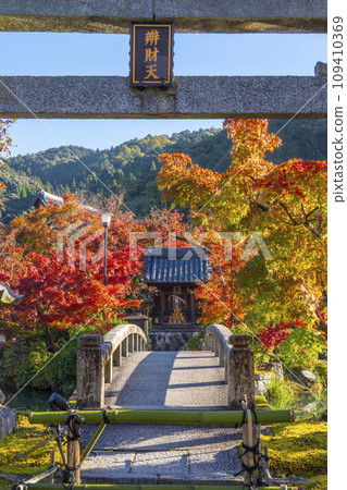 秋天的京都、永觀堂（善林寺）、弁天社和北條池的秋葉 109410369