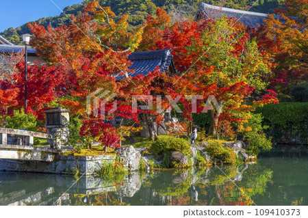Kyoto in autumn, Eikando (Zenrinji Temple), Bentensha Shrine and autumn leaves at Hojo Pond 109410373