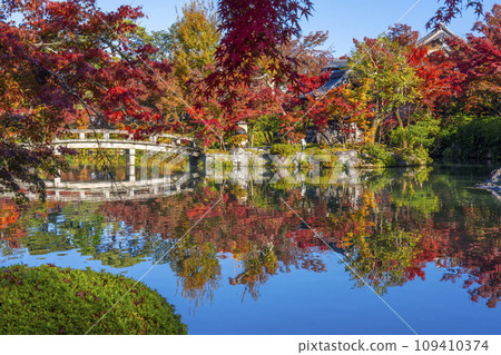 秋天的京都、永觀堂(善林寺)、弁天社和北條池的秋葉 秋天的京都、永觀堂(善林寺)、弁天社和北條池的秋葉 109410374