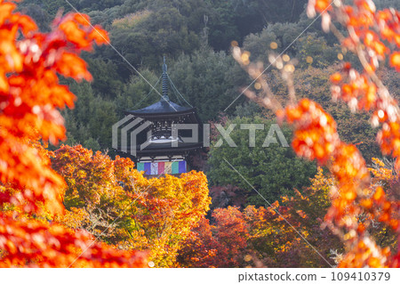 Kyoto in autumn: Eikando (Zenrinji) autumn leaves and Tahoto pagoda Kyoto in autumn: Eikando (Zenrinji) autumn leaves and Tahoto pagoda 109410379