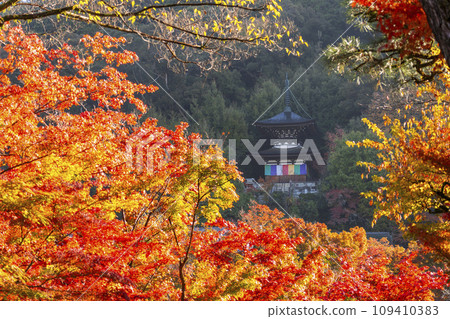 秋天的京都：永觀堂（善林寺）秋葉與多寶塔 109410383