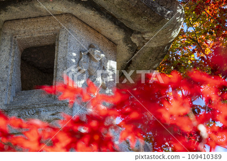 秋天的京都永觀堂（善林寺） 秋葉與石燈籠 109410389