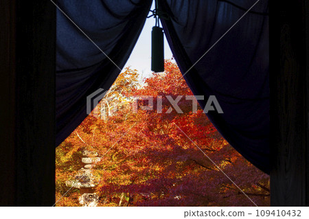 秋天的京都永觀堂(禪林寺) 從寺院的帷幕上可以看到秋葉 秋天的京都永觀堂(禪林寺) 從寺院的帷幕上可以看到秋葉 109410432