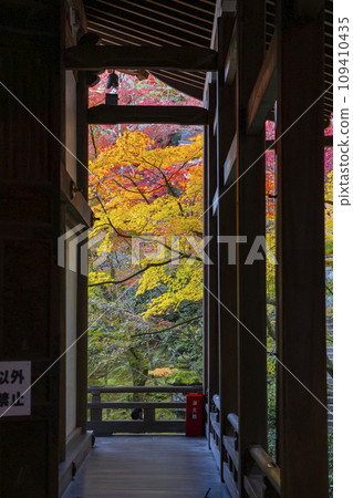 秋天的京都 Eikando (Zenrinji) 走廊和秋葉 109410435