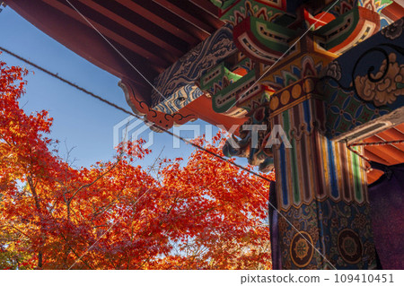永觀堂（善林寺） 阿彌陀堂 表現淨土莊嚴的色彩 109410451