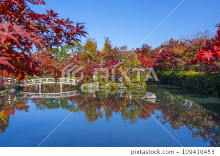 秋天的京都、永觀堂(善林寺)、弁天社和北條池的秋葉 秋天的京都、永觀堂(善林寺)、弁天社和北條池的秋葉 109410453