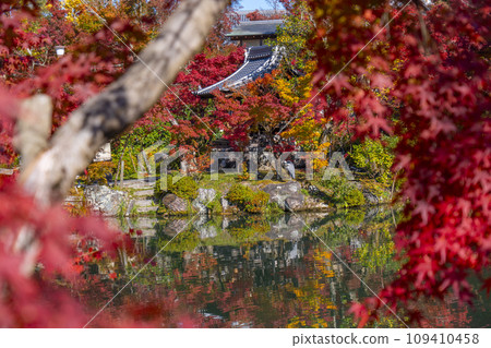 Kyoto in autumn, Eikando (Zenrinji Temple), Bentensha Shrine and autumn leaves at Hojo Pond 109410458
