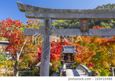 Kyoto in autumn, Eikando (Zenrinji Temple), Bentensha Shrine and autumn leaves at Hojo Pond Kyoto in autumn, Eikando (Zenrinji Temple), Bentensha Shrine and autumn leaves at Hojo Pond 109410466