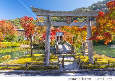 秋天的京都、永觀堂（善林寺）、弁天社和北條池的秋葉 109410467