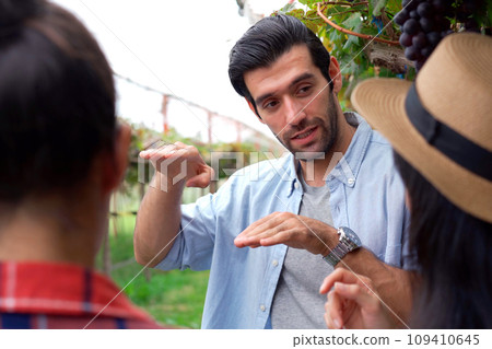 Group of people having a discussion in the vineyard about growing or planting a grape tree. Group of people having a discussion in the vineyard about growing or planting a grape tree. 109410645