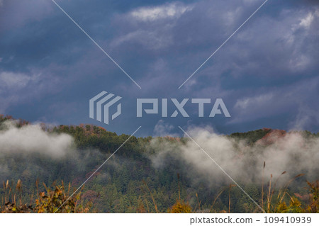 late autumn morning mist late autumn morning mist 109410939