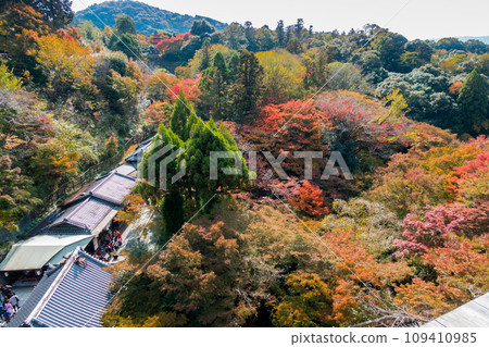 Autumn leaves from the stage of Kiyomizu (Kyoto Prefecture - Kyoto City) 109410985