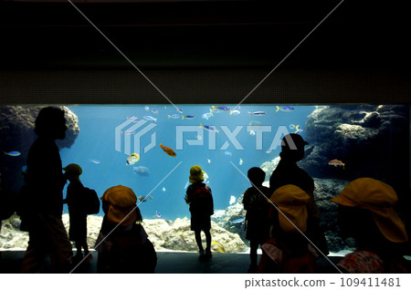 I visited an aquarium during a kindergarten field trip and saw the colorful fish through the tank. Capture the hearts of children and swim smoothly 109411481