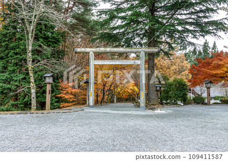 禦曾木神社境內的鳥居，古老的神社正殿被秋葉染紅。 109411587