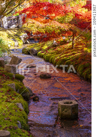 秋天的京都永觀堂(善林寺)從楓橋眺望 秋天的京都永觀堂(善林寺)從楓橋眺望 109411987