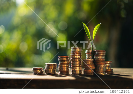 Money and tree grow up to saving money concept 109412161