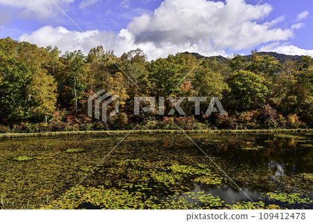 Beautiful autumn at Shiga Kogen Lotus Pond 109412478