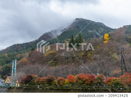 Doshi River suspension bridge and autumn leaves Doshi River suspension bridge and autumn leaves 109413428