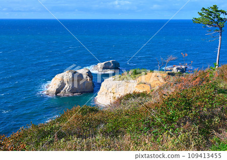 鳥居崎(貓岩) 笠野岬 加賀海岸 加賀市 鳥居崎(貓岩) 笠野岬 加賀海岸 加賀市 109413455