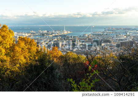 Mt. Rokko and Kobe Port dyed in autumn leaves 109414291