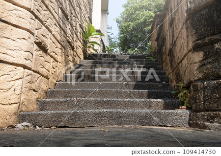 Wide staircase in the park with trees 109414730