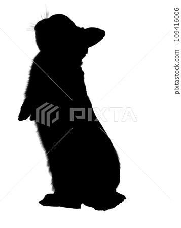 silhouette of a rabbit standing up silhouette of a rabbit standing up 109416006