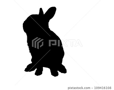smart rabbit silhouette 109416108