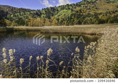 Yoshigami泥潭秋葉 Yoshigami泥潭秋葉 109416846