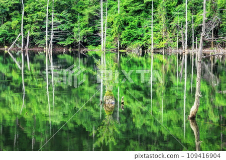 夏天的天然湖泊 109416904