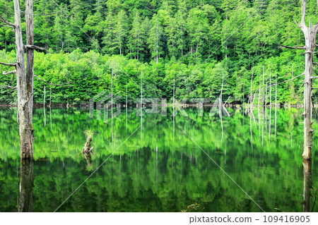 Summer natural lake Summer natural lake 109416905