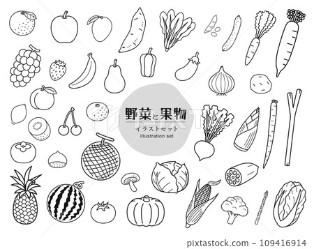 Vegetable fruit illustration set _ monochrome line drawing 109416914
