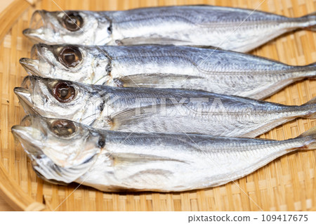 Whole dried horse mackerel is arranged on a four-tailed colander. 109417675