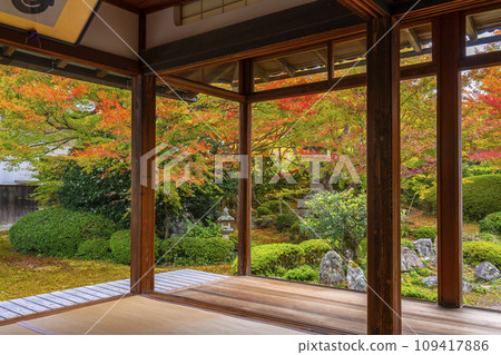 秋天的京都元光庵,松陰學院前的鶴龜庭園,秋葉美麗 秋天的京都元光庵,松陰學院前的鶴龜庭園,秋葉美麗 109417886