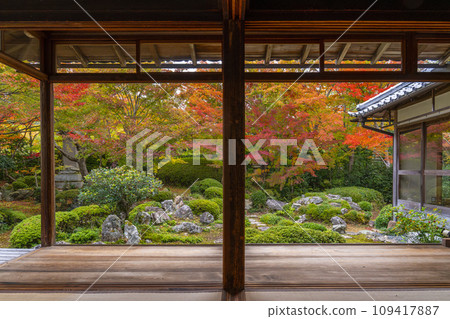 秋天的京都元光庵,松陰學院前的鶴龜庭園,秋葉美麗 秋天的京都元光庵,松陰學院前的鶴龜庭園,秋葉美麗 109417887