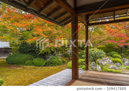 秋天的京都元光庵,松陰學院前的鶴龜庭園,秋葉美麗 秋天的京都元光庵,松陰學院前的鶴龜庭園,秋葉美麗 109417889