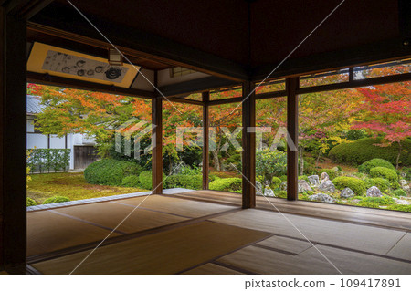 Genkoan, Kyoto in autumn, Tsurukame Garden with beautiful autumn leaves in front of Shoin Shoin 109417891