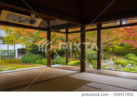 Genkoan, Kyoto in autumn, Tsurukame Garden with beautiful autumn leaves in front of Shoin Shoin 109417892