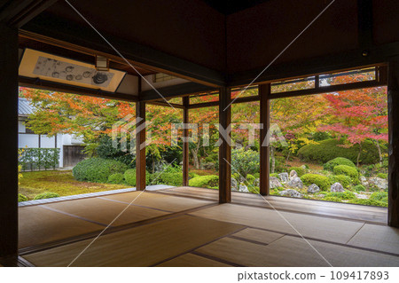 秋天的京都元光庵，松陰學院前的鶴龜庭園，秋葉美麗 109417893