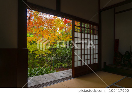 秋季源光庵紅葉庭園(京都市北區高峰) 秋季源光庵紅葉庭園(京都市北區高峰) 109417900