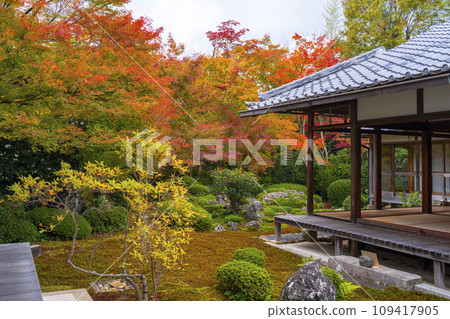 秋天的京都元光庵,鶴龜庭園,秋葉美麗 秋天的京都元光庵,鶴龜庭園,秋葉美麗 109417905