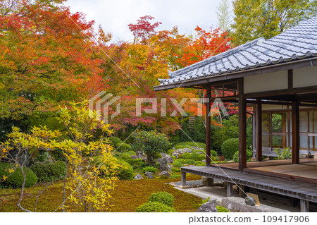 秋天的京都元光庵,鶴龜庭園,秋葉美麗 秋天的京都元光庵,鶴龜庭園,秋葉美麗 109417906