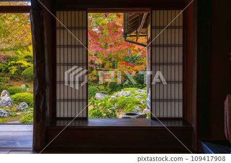 秋天的京都元光庵,松陰學院前的鶴龜庭園,秋葉美麗 秋天的京都元光庵,松陰學院前的鶴龜庭園,秋葉美麗 109417908