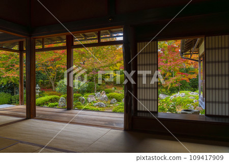 秋天的京都元光庵,松陰學院前的鶴龜庭園,秋葉美麗 秋天的京都元光庵,松陰學院前的鶴龜庭園,秋葉美麗 109417909