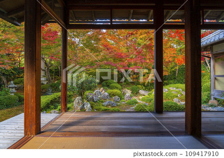 秋天的京都元光庵，松陰學院前的鶴龜庭園，秋葉美麗 109417910