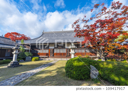 Genkoan,京都秋天 — 晴朗的秋天天空、主殿和秋葉 Genkoan,京都秋天 — 晴朗的秋天天空、主殿和秋葉 109417917