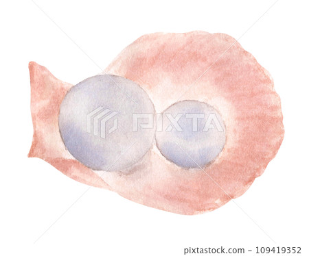 Pearl. Watercolor illustration. 109419352