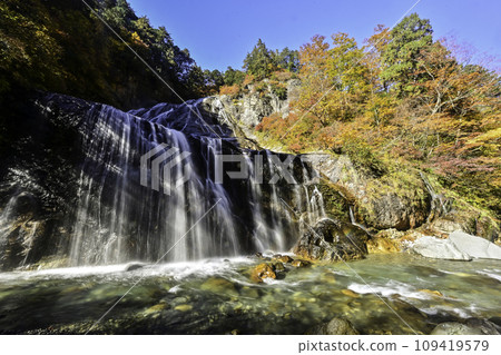 Autumn leaves of Hakusan Shirakawa-go White Road Ubagataki Autumn leaves of Hakusan Shirakawa-go White Road Ubagataki 109419579